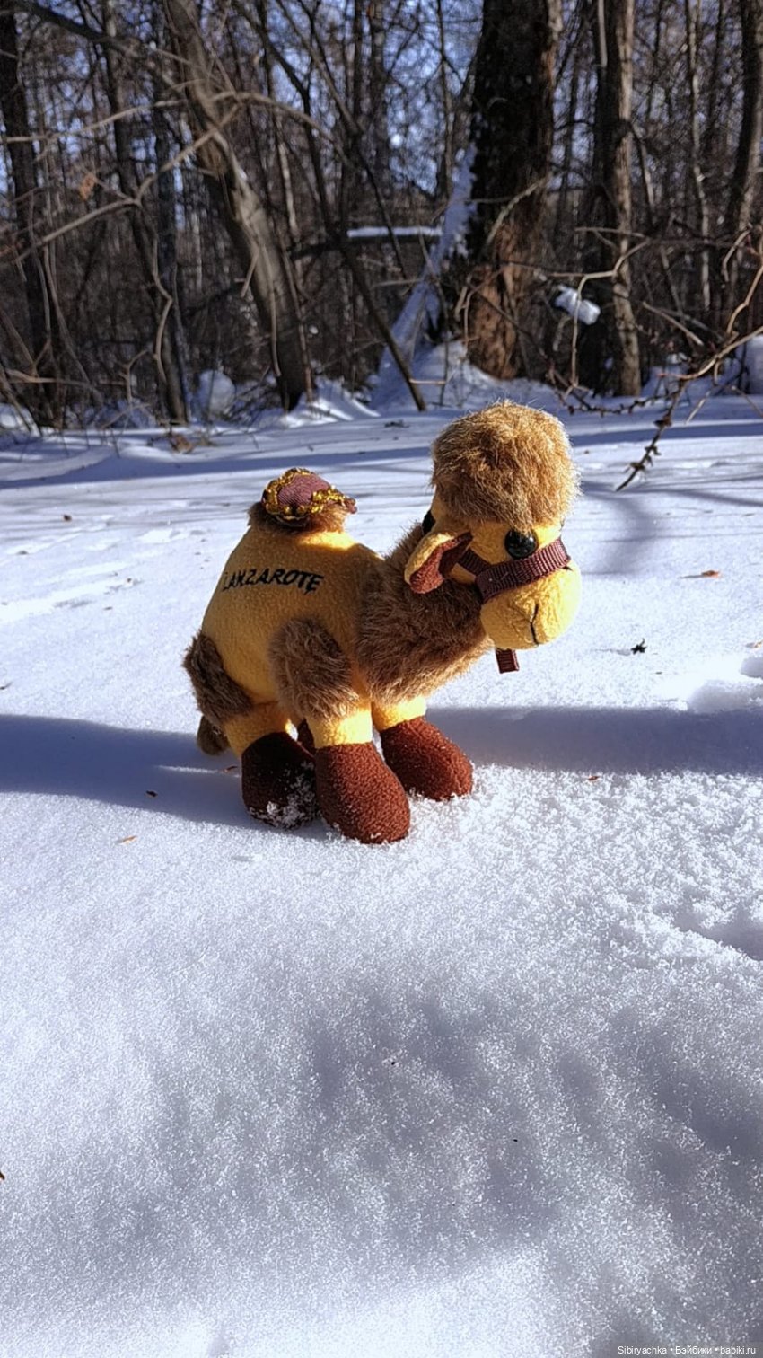 Юляшка, Вета и Том гуляют в лесу. Часть I