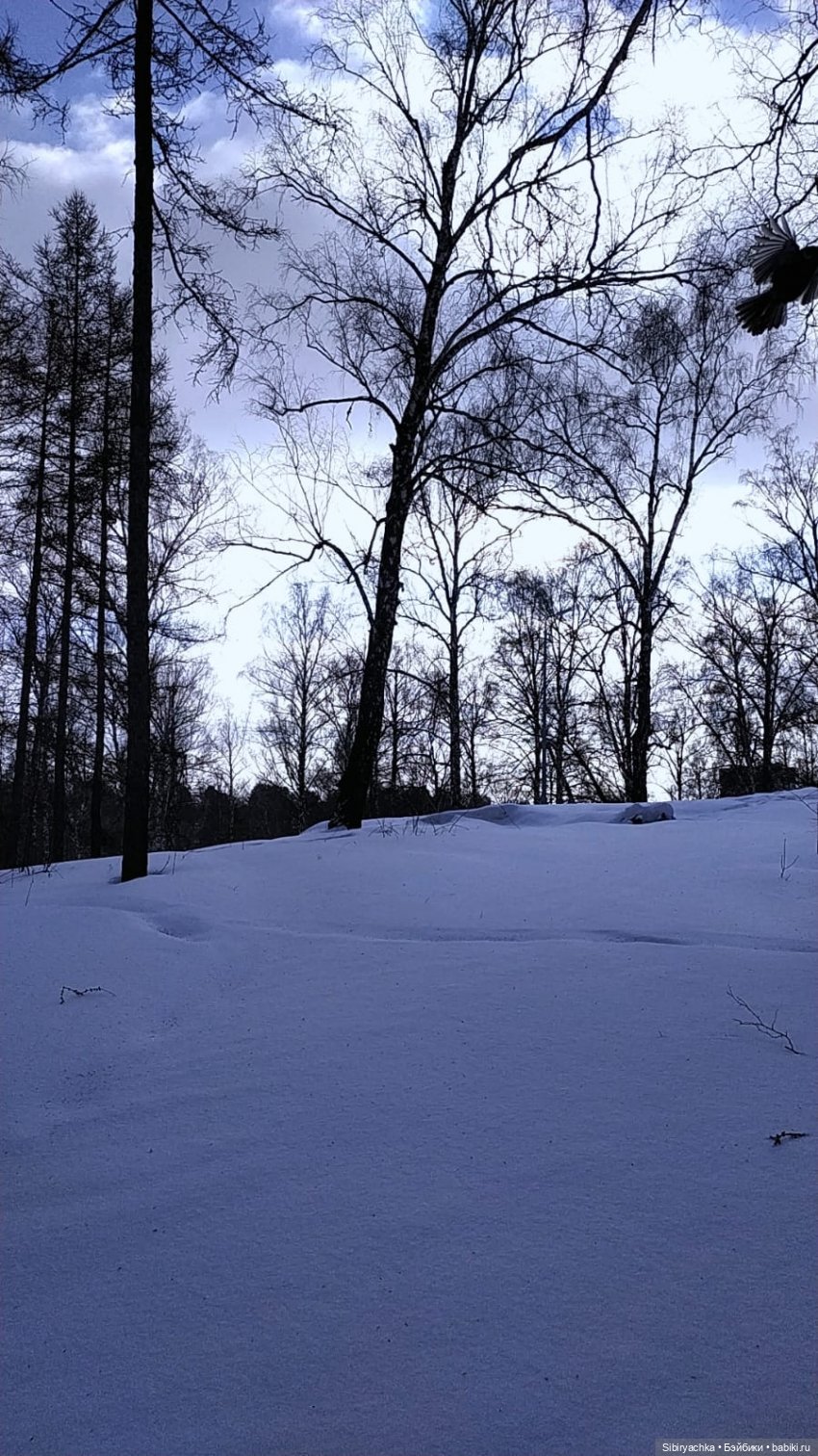 Юляшка и кот Сеня гуляют в лесу