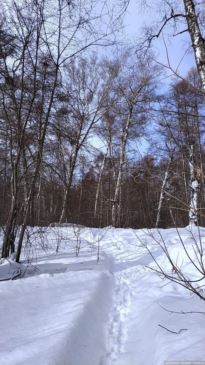 Юляшка и кот Сеня гуляют в лесу