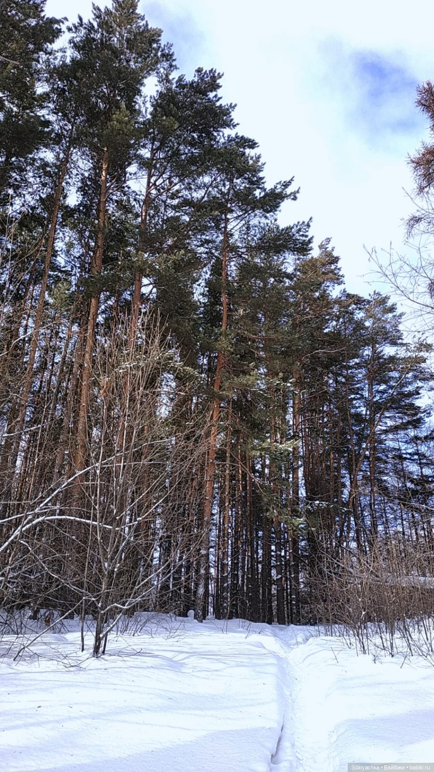 Юляшка и кот Сеня гуляют в лесу