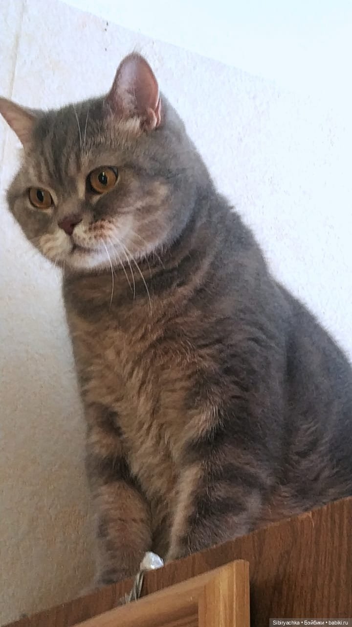 В гости к маме с Юляшкой и Сеней (фото 4)