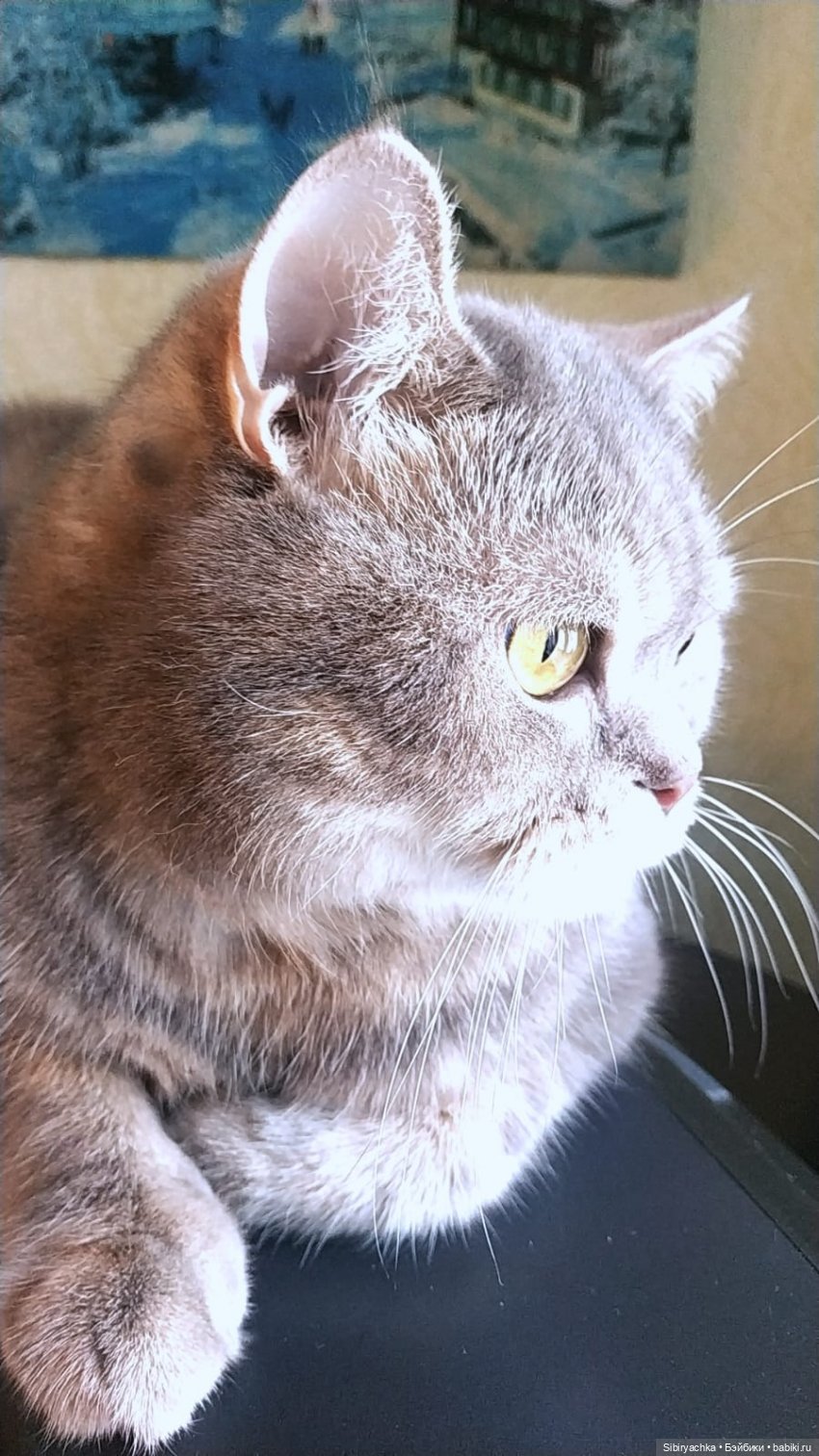 В гости к маме с Юляшкой и Сеней