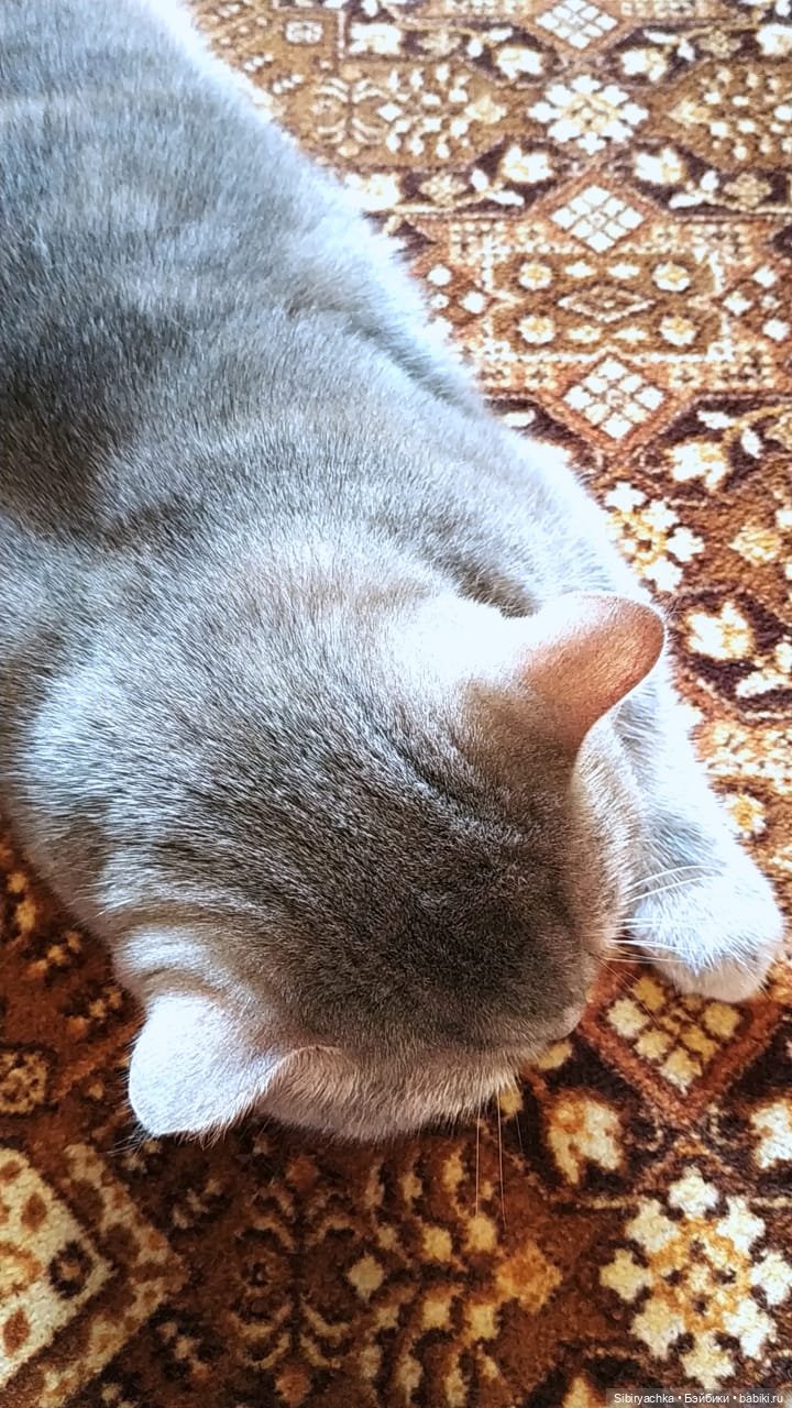 В гости к маме с Юляшкой и Сеней (фото 8)