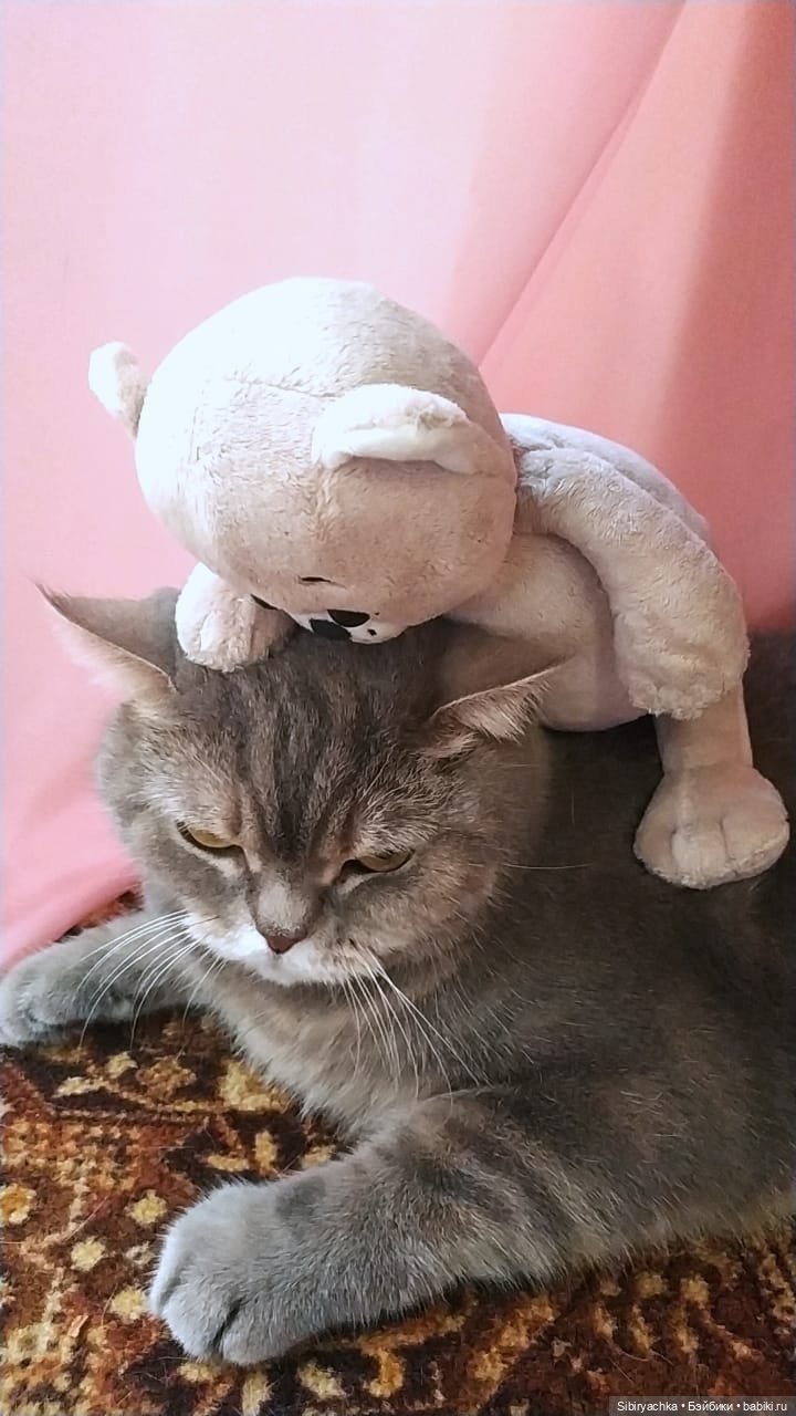 В гости к маме с Юляшкой и Сеней