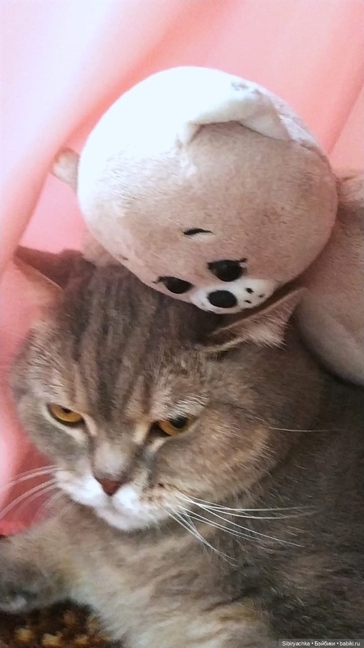 В гости к маме с Юляшкой и Сеней