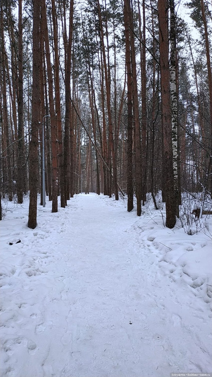 Первая прогулка после морозов