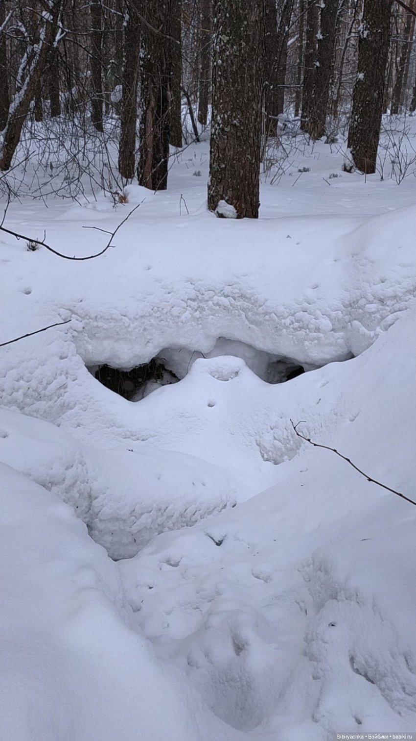 Первая прогулка после морозов
