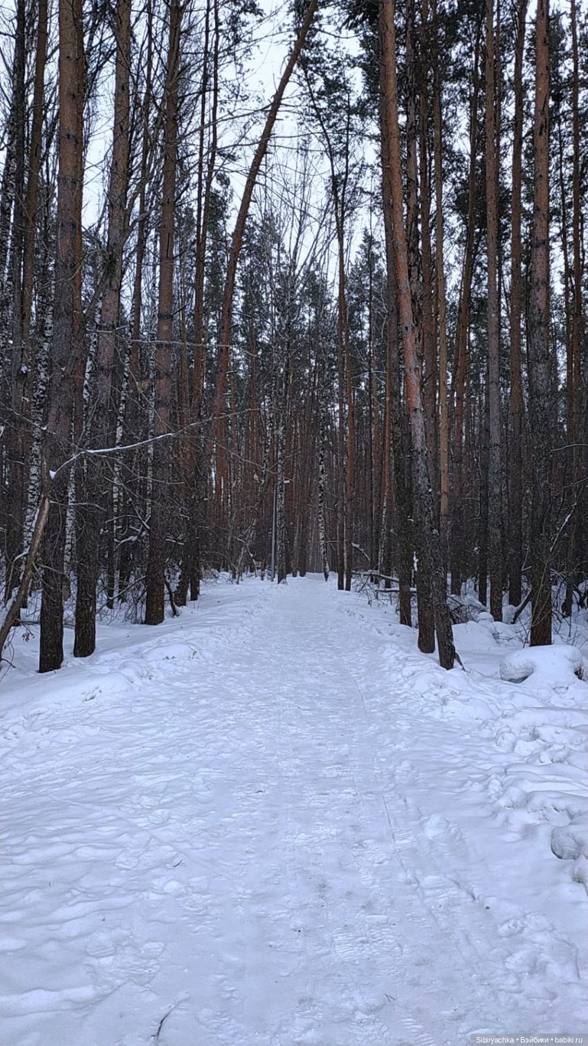 Первая прогулка после морозов