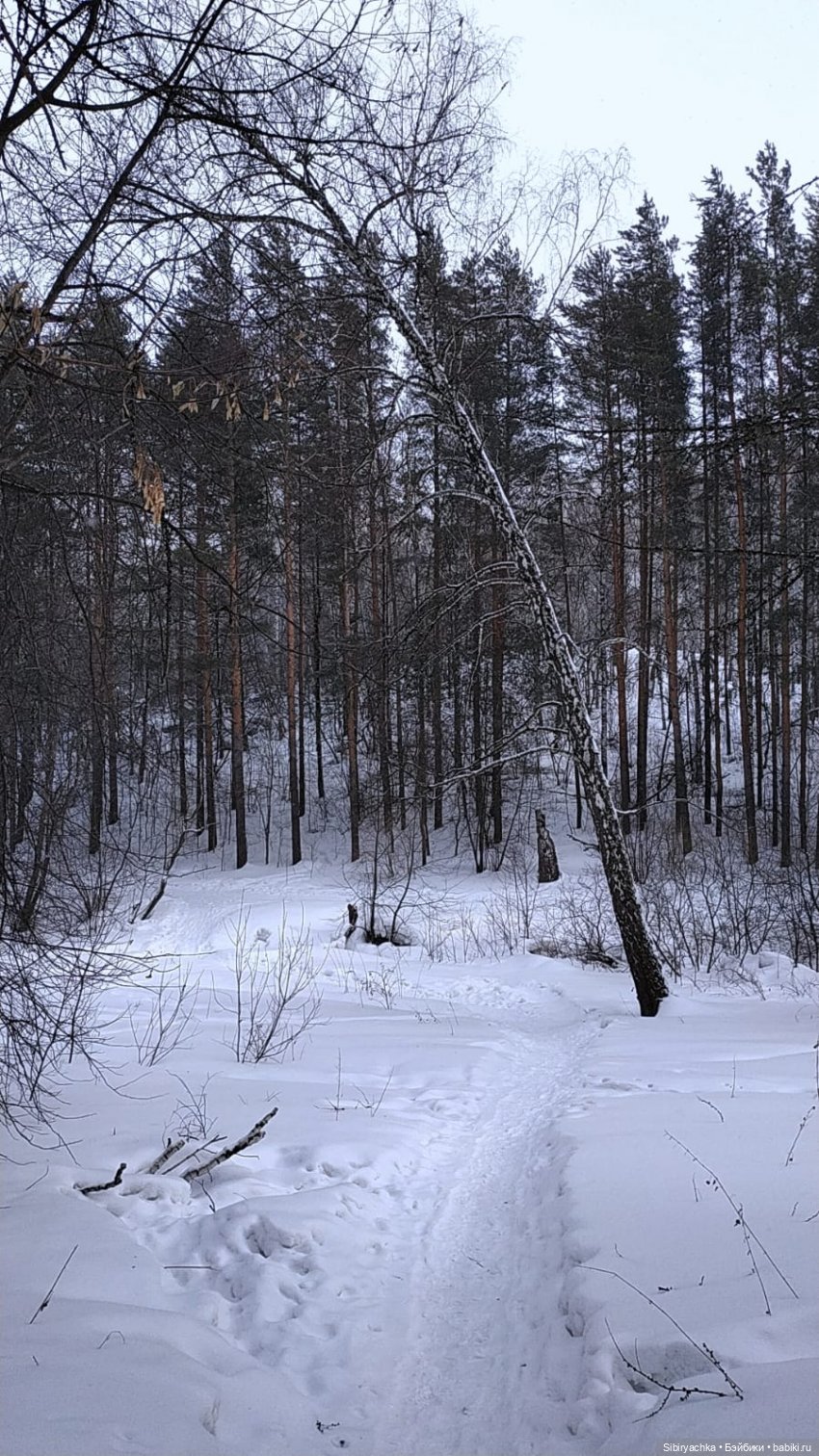 Первая прогулка после морозов