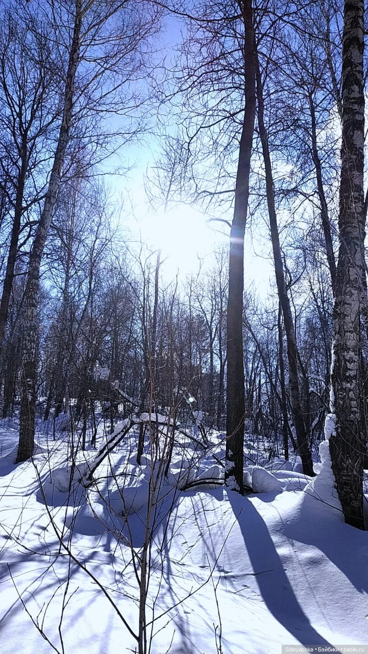 Мартовская прогулка Веты. Ч. II (фото 9)