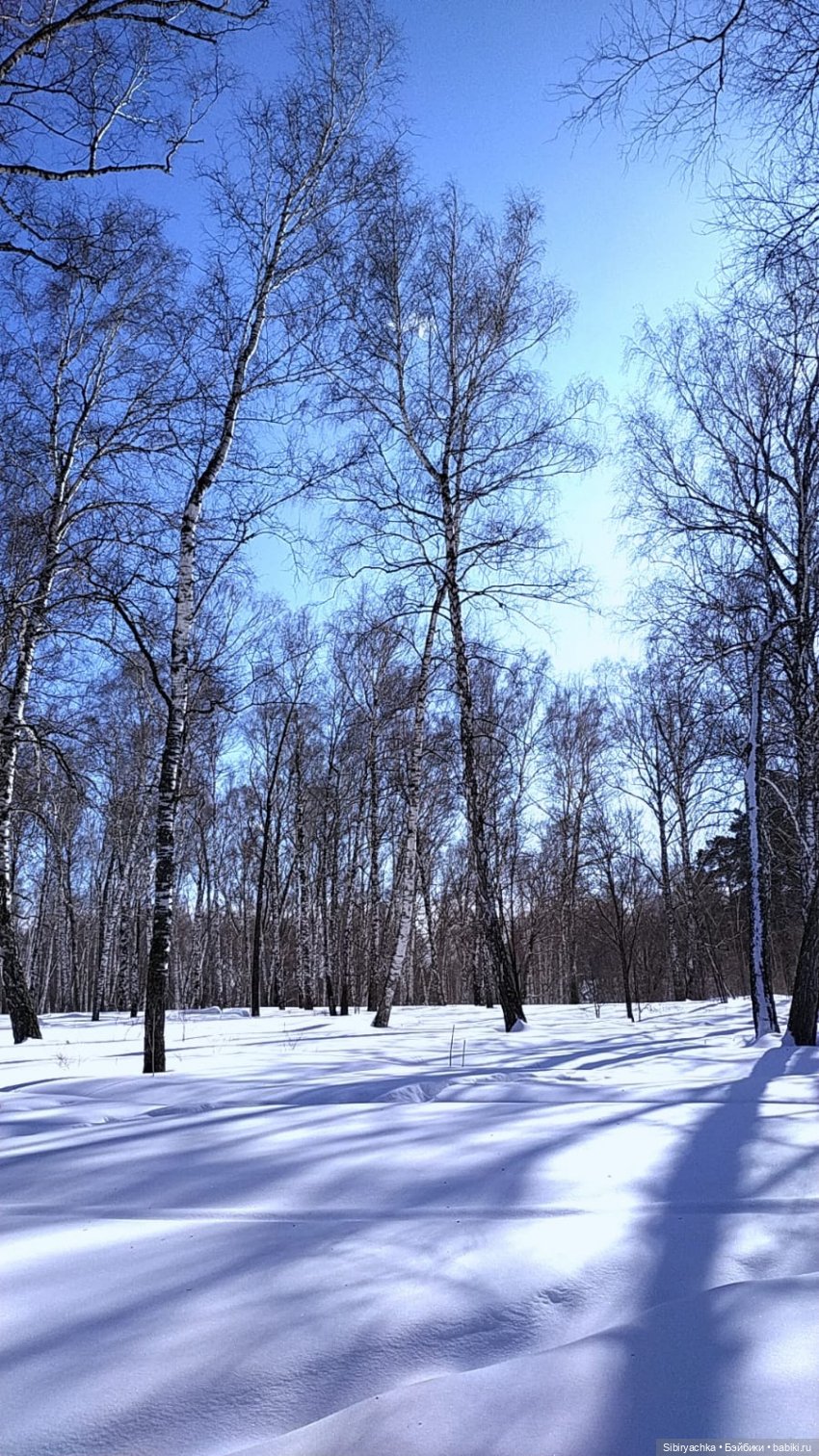Мартовская прогулка Веты. Ч. II