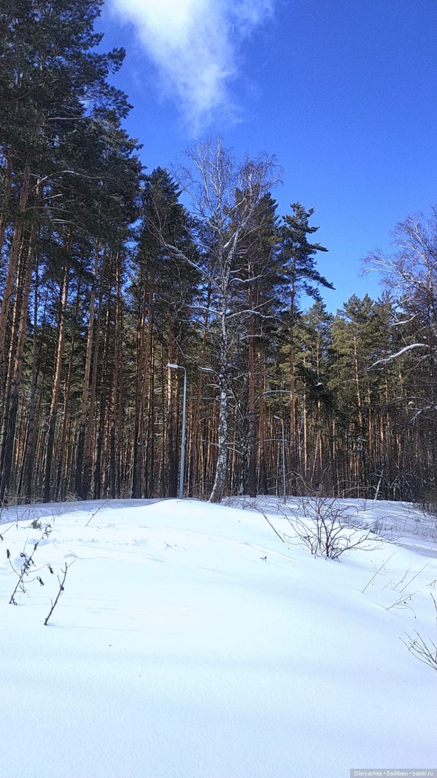 Мартовская прогулка Веты. Ч. I