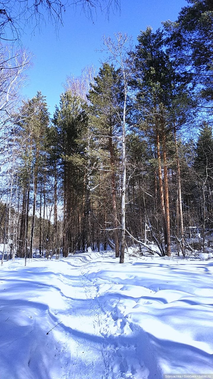 Мартовская прогулка Веты. Ч. II