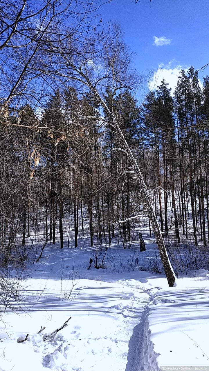 Мартовская прогулка Веты. Ч. II (фото 4)