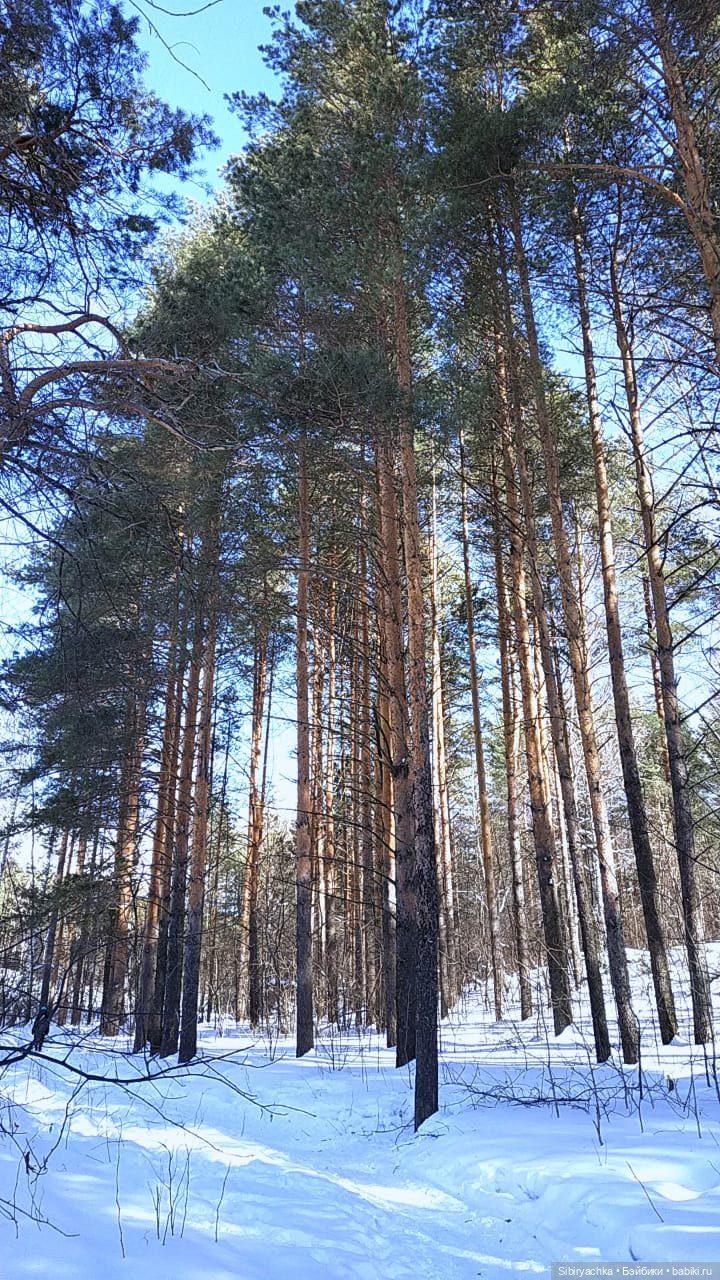 Мартовская прогулка Веты. Ч. II (фото 10)