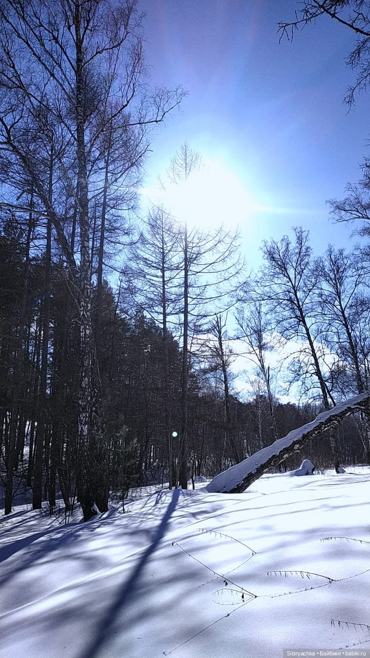Мартовская прогулка Веты. Ч. II (фото 8)