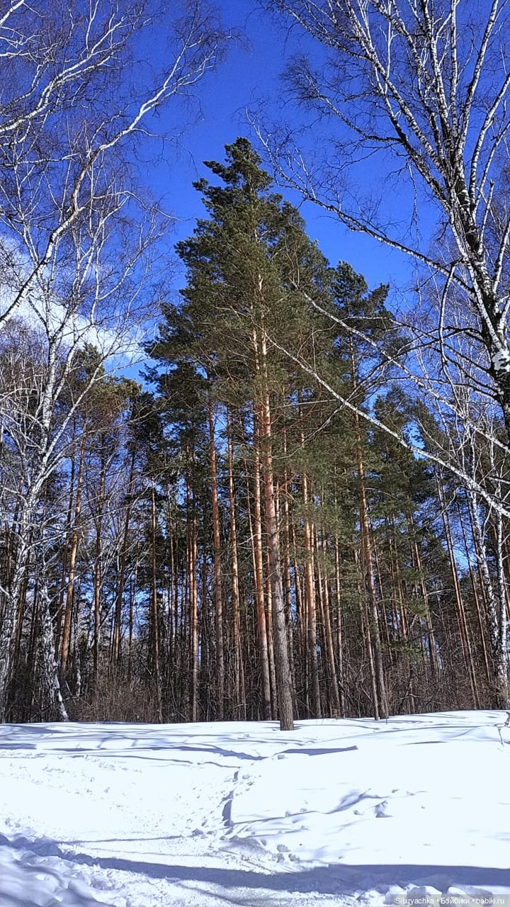 Мартовская прогулка Веты. Ч. II