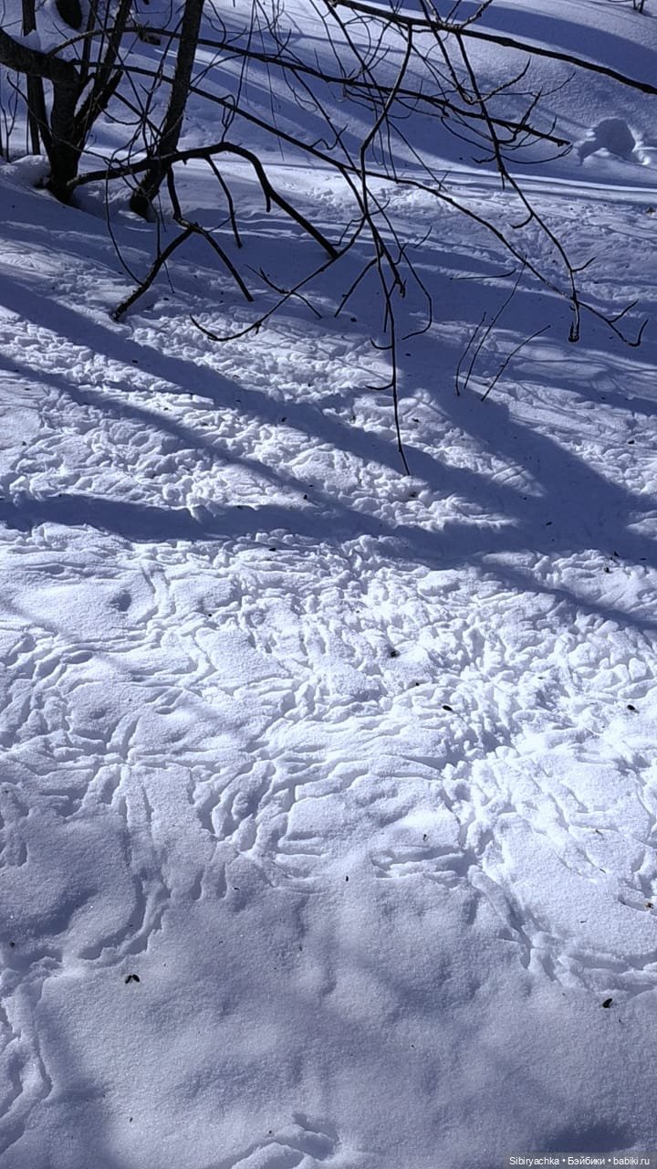 Мартовская прогулка Веты. Ч. II