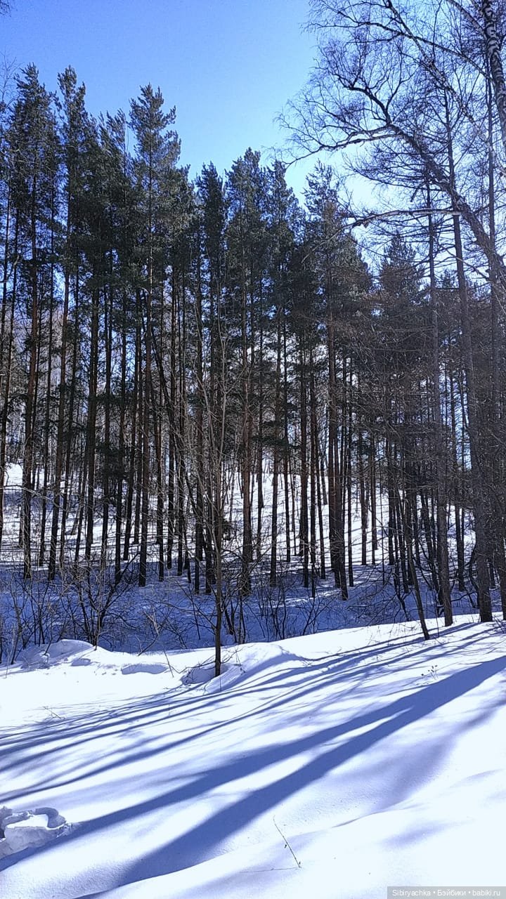 Мартовская прогулка Веты. Ч. II (фото 7)