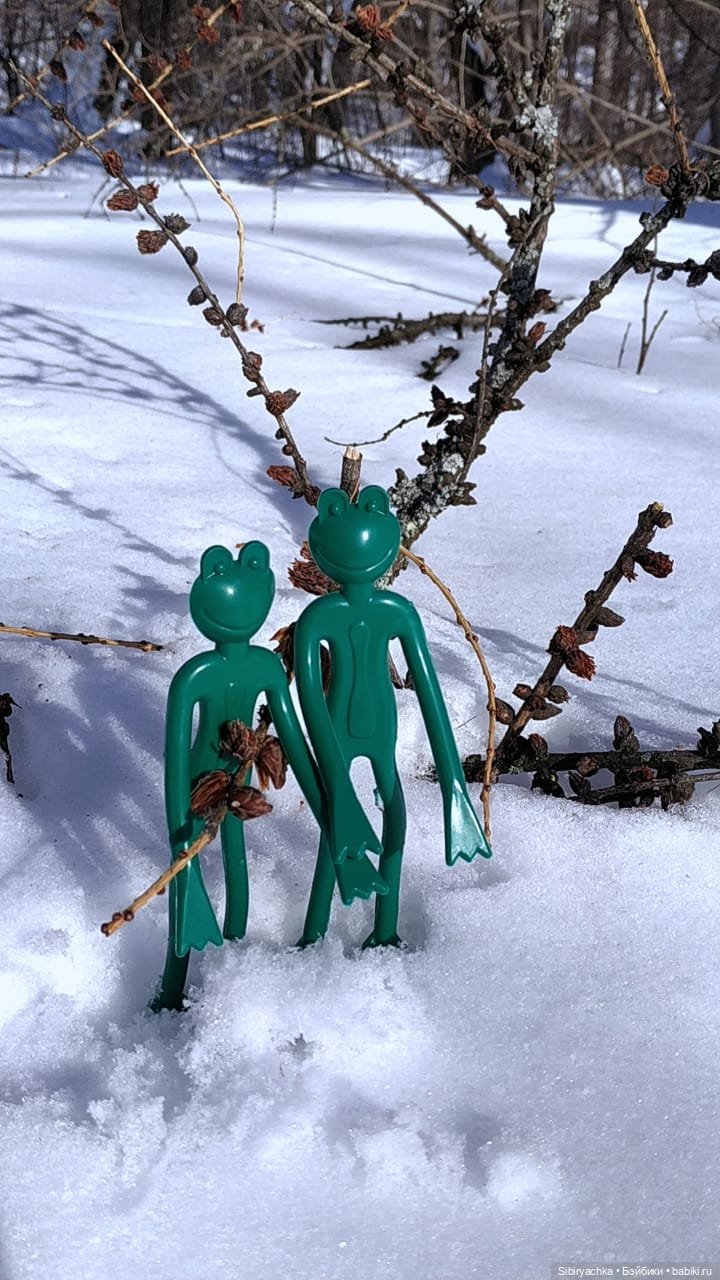 Лягушата Ква и Квак радуются приходу весны. Ч. I (фото 3)