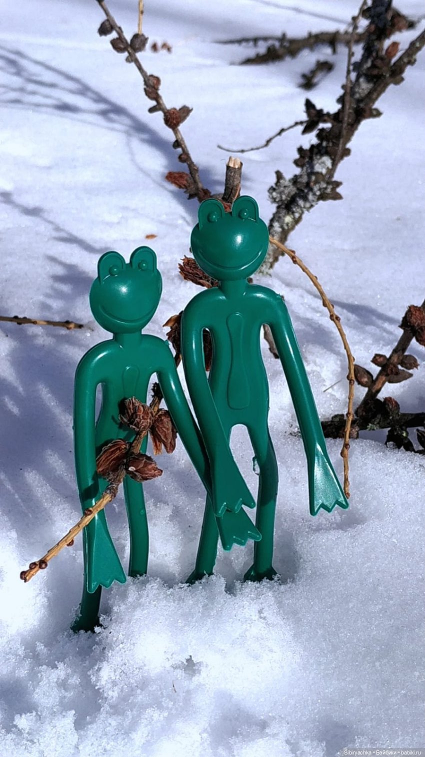 Лягушата Ква и Квак радуются приходу весны. Ч. I (фото 4)