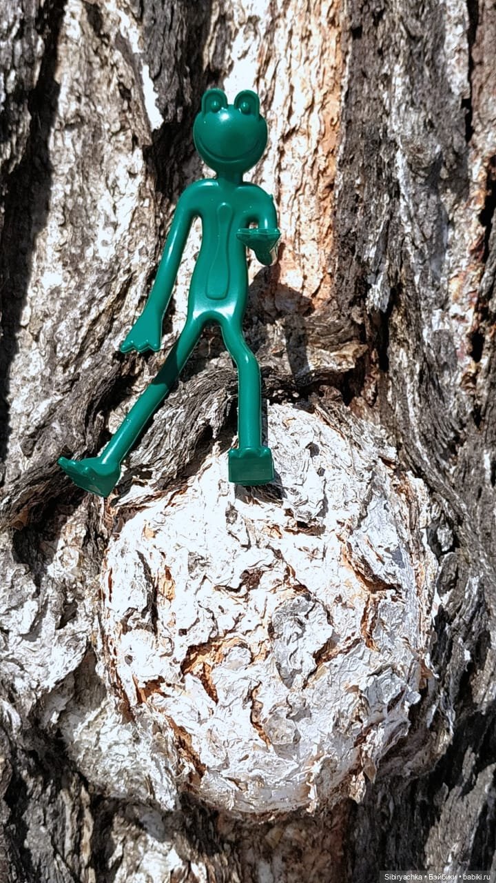 Лягушата Ква и Квак радуются приходу весны. Ч. I (фото 9)