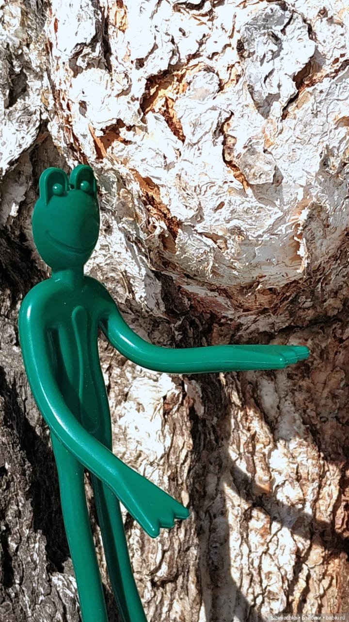 Лягушата Ква и Квак радуются приходу весны. Ч. I