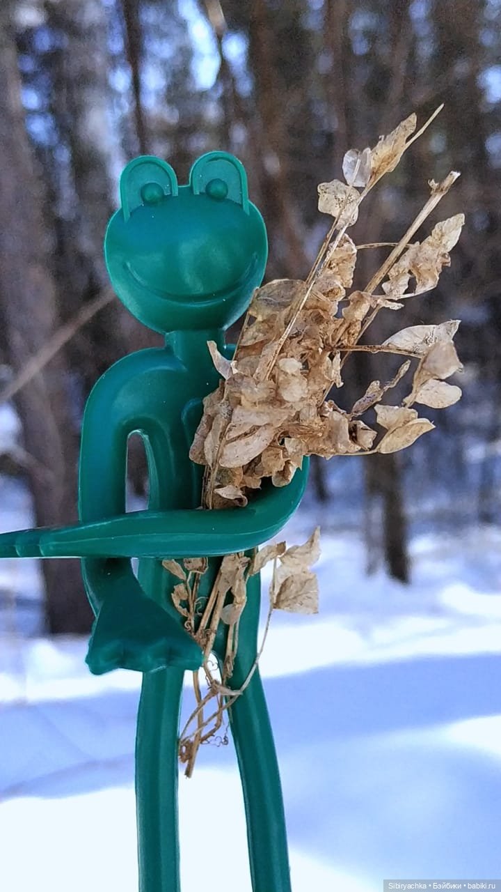 Лягушата Ква и Квак радуются приходу весны. Ч. II