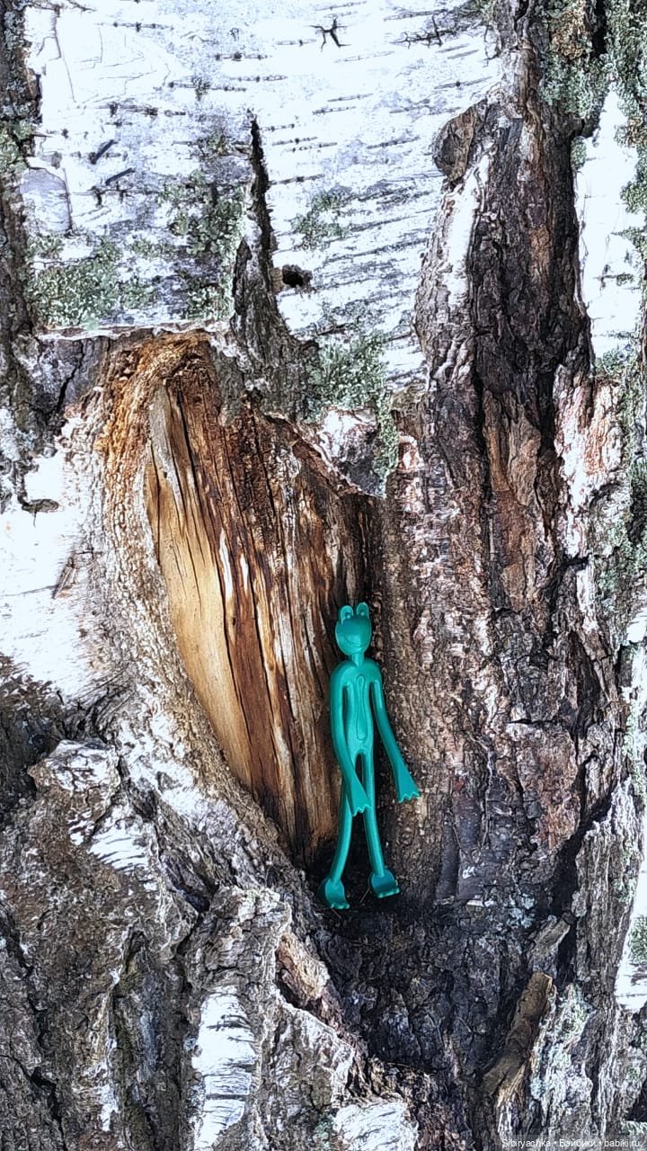 Лягушата Ква и Квак радуются приходу весны. Ч. I