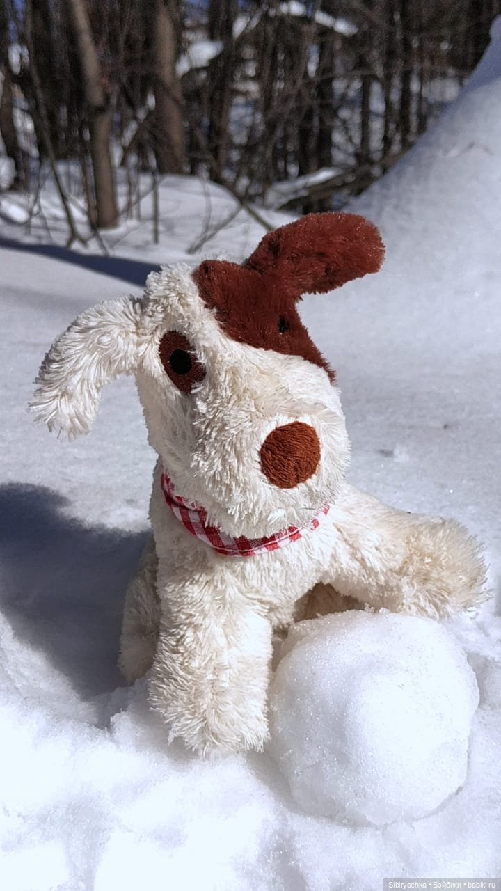 Снежный март - отличный повод для прогулки