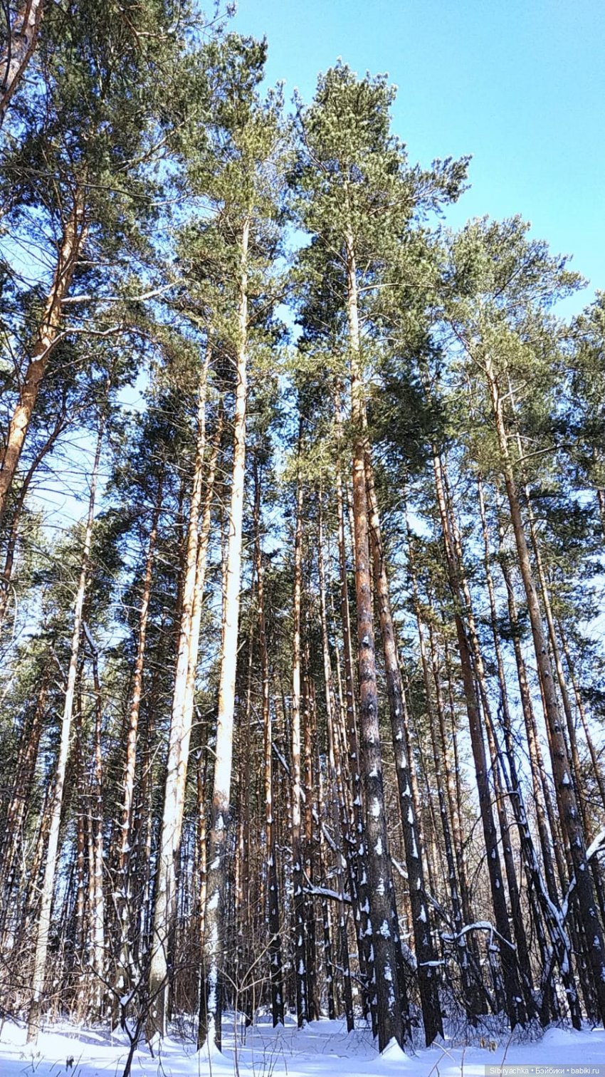 Марьяшка и Дружок гуляют в лесу | Бэйбики Марьяшка и Дружок гуляют в лесу