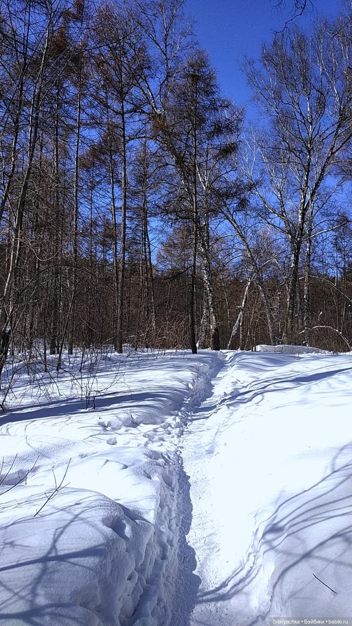 Снежный март - отличный повод для прогулки