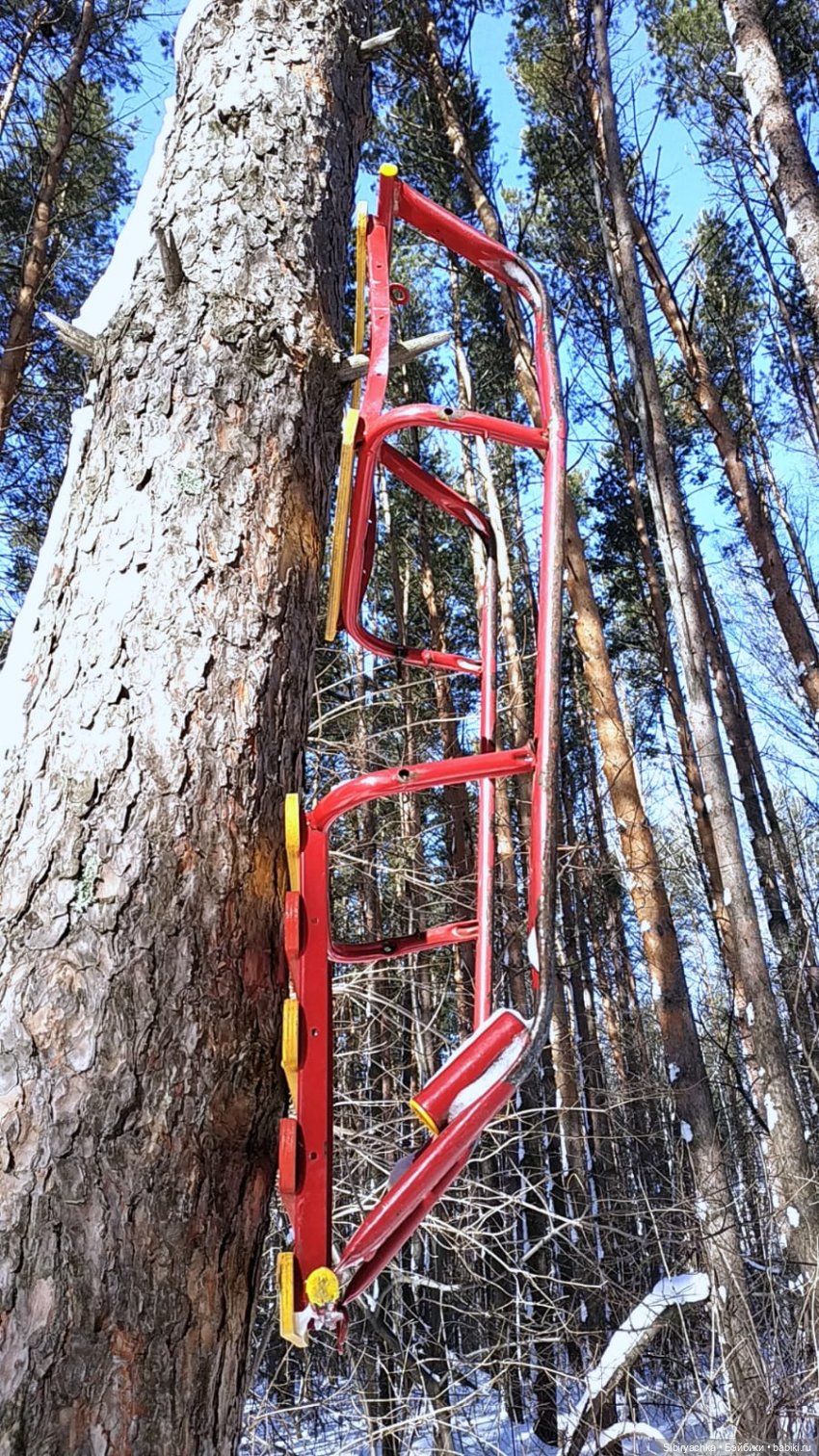 Марьяшка и Дружок гуляют в лесу | Бэйбики Марьяшка и Дружок гуляют в лесу (фото 5)