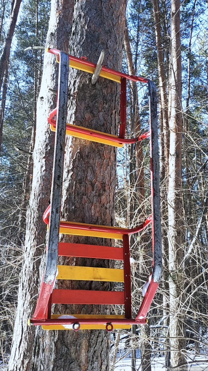 Марьяшка и Дружок гуляют в лесу | Бэйбики Марьяшка и Дружок гуляют в лесу (фото 4)