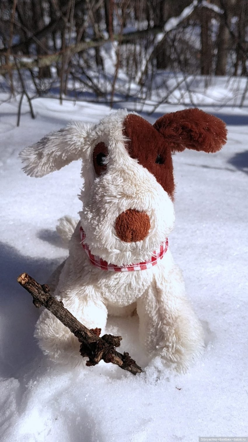 Марьяшка и Дружок гуляют в лесу | Бэйбики Марьяшка и Дружок гуляют в лесу