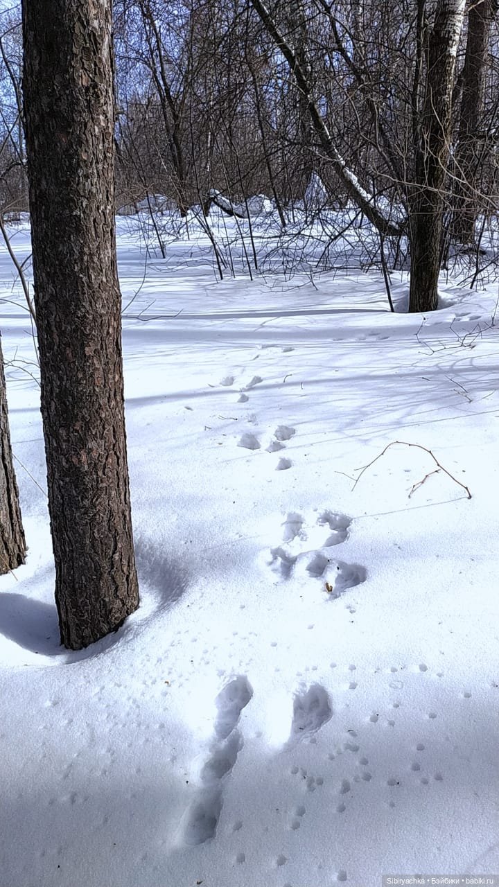 Каждая прогулка таит для Юляшки множество сюрпризов | Бэйбики Каждая прогулка таит для Юляшки множество сюрпризов (фото 10)