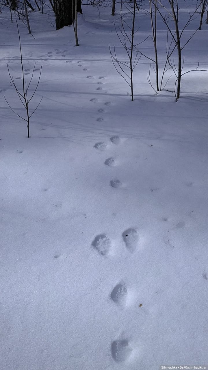 Каждая прогулка таит для Юляшки множество сюрпризов | Бэйбики Каждая прогулка таит для Юляшки множество сюрпризов