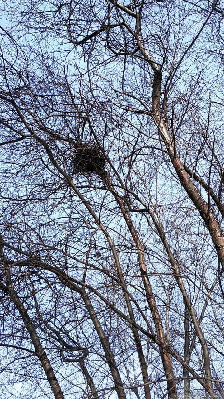 Каждая прогулка таит для Юляшки множество сюрпризов | Бэйбики Каждая прогулка таит для Юляшки множество сюрпризов