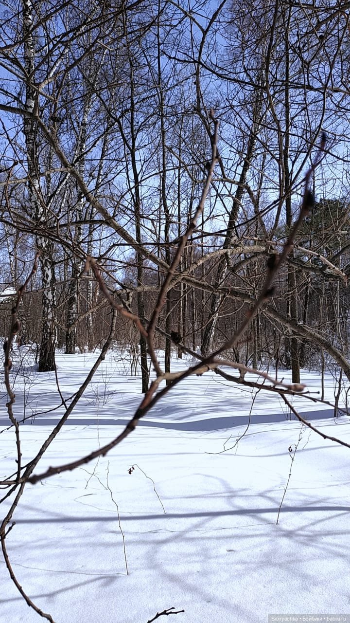 Каждая прогулка таит для Юляшки множество сюрпризов | Бэйбики Каждая прогулка таит для Юляшки множество сюрпризов