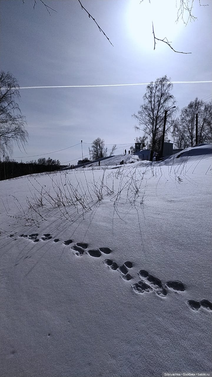 Каждая прогулка таит для Юляшки множество сюрпризов | Бэйбики Каждая прогулка таит для Юляшки множество сюрпризов