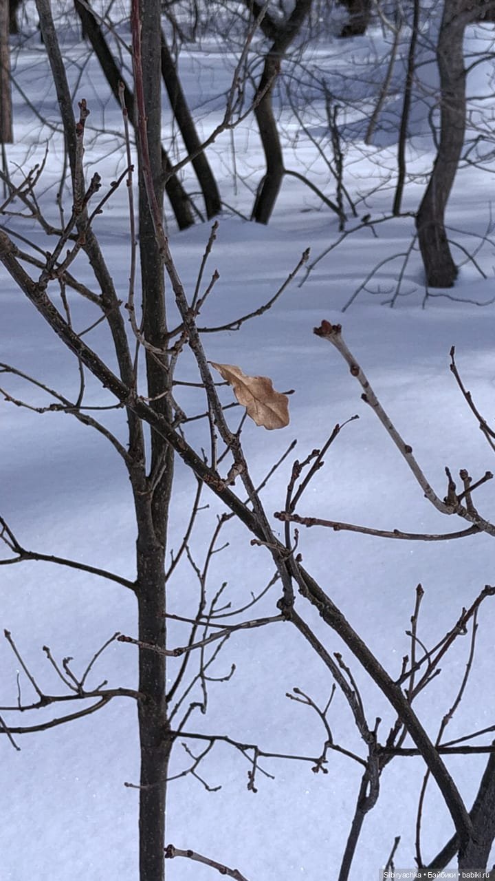 Каждая прогулка таит для Юляшки множество сюрпризов | Бэйбики Каждая прогулка таит для Юляшки множество сюрпризов (фото 9)
