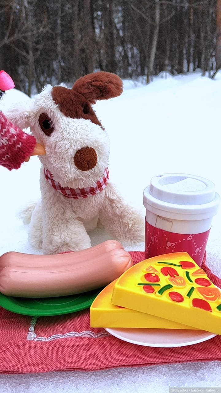 Лыжная прогулка с пикником в марте. А почему бы и нет