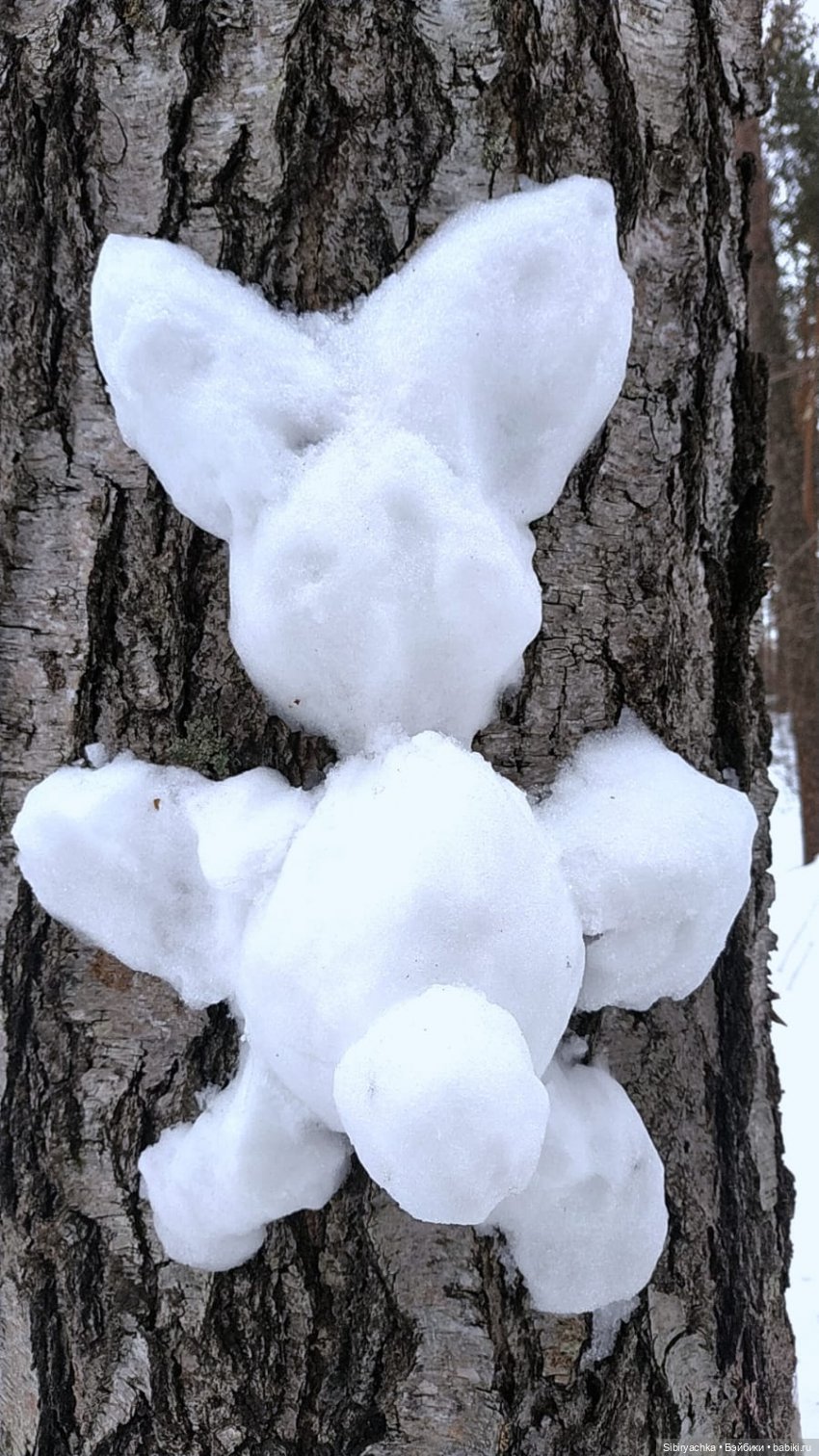 Лыжная прогулка с пикником в марте. А почему бы и нет
