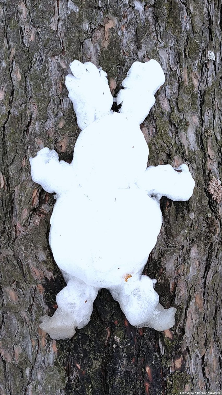 Лыжная прогулка с пикником в марте. А почему бы и нет