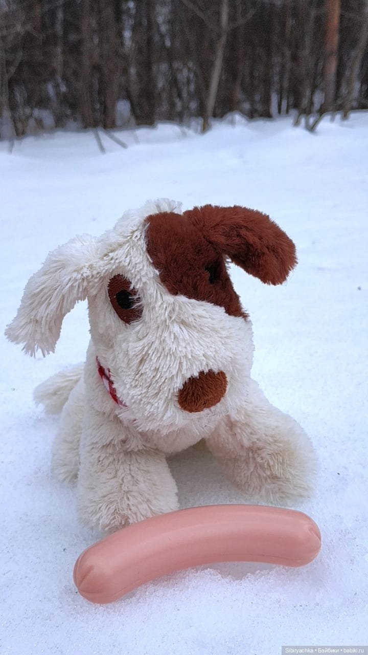 Лыжная прогулка с пикником в марте. А почему бы и нет