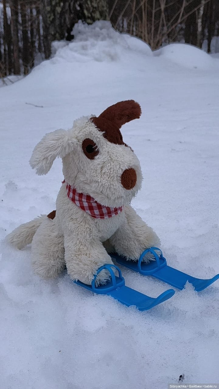Лыжная прогулка с пикником в марте. А почему бы и нет