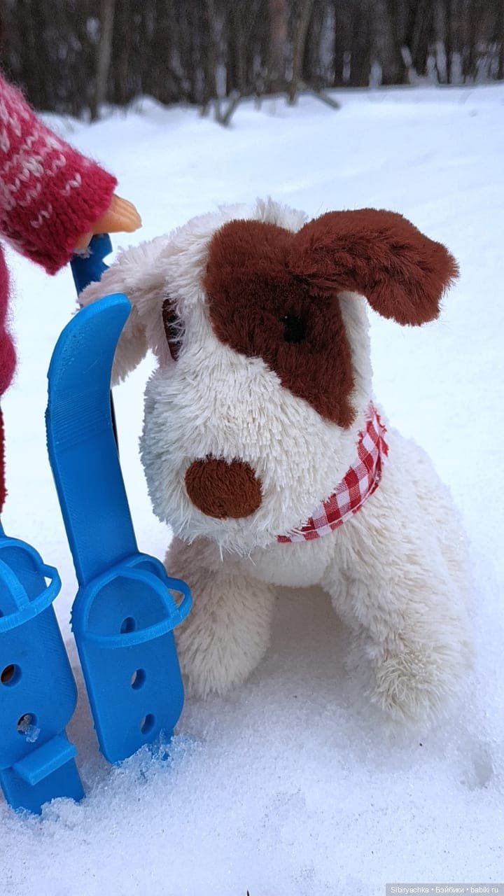 Лыжная прогулка с пикником в марте. А почему бы и нет