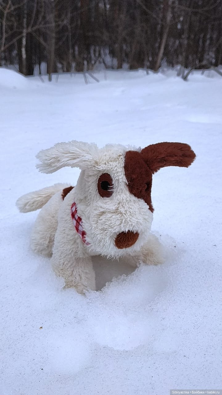Лыжная прогулка с пикником в марте. А почему бы и нет