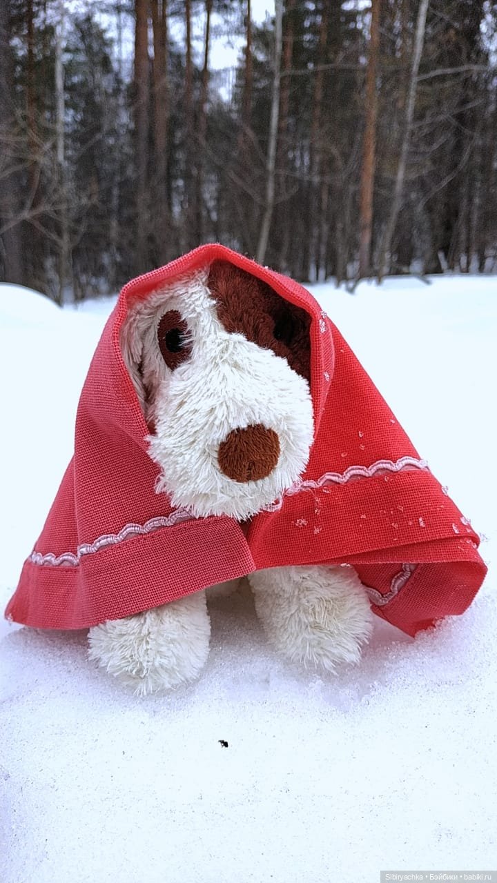 Лыжная прогулка с пикником в марте. А почему бы и нет