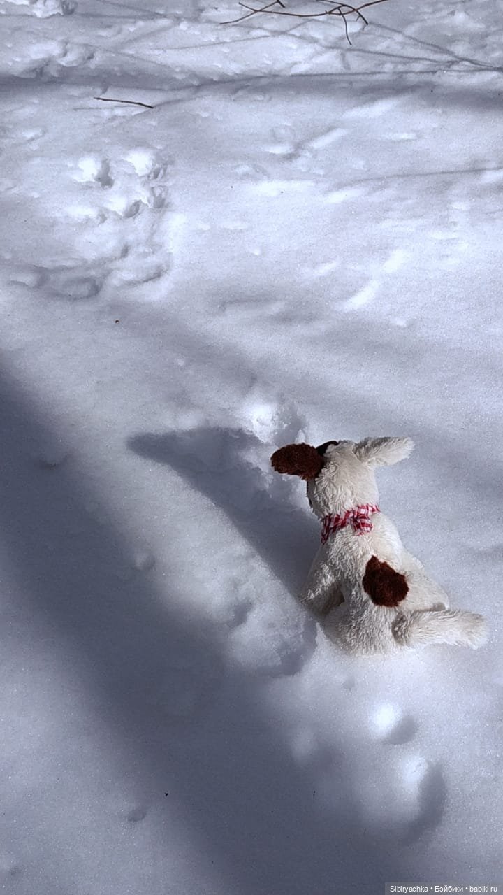 История о том, как Юляшка и Марьяшка весело провели время в лесу